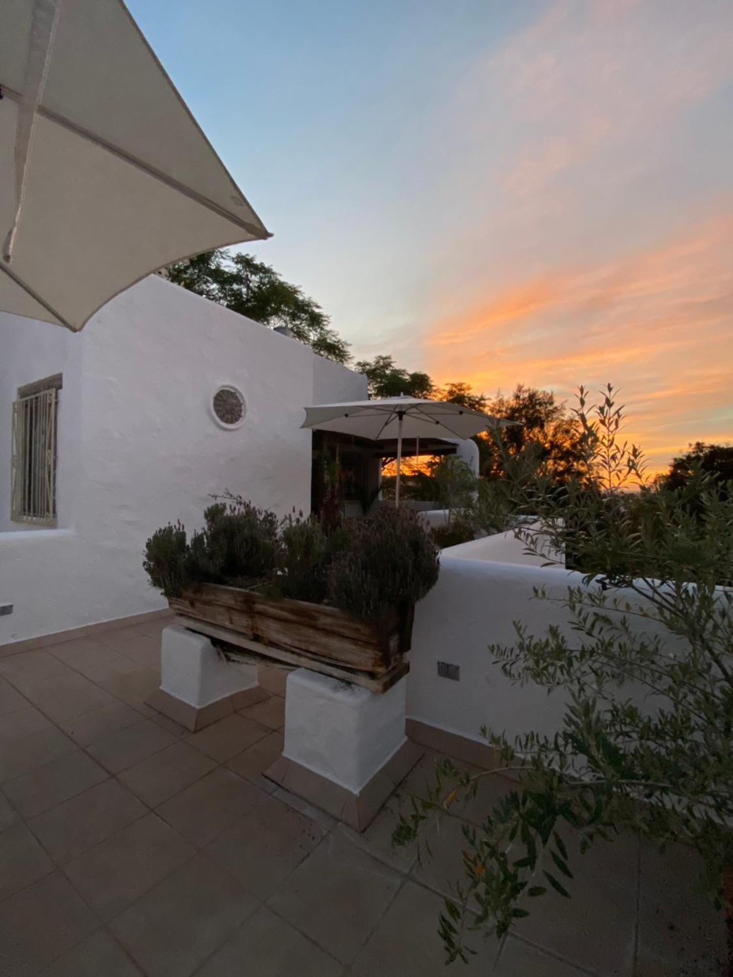 Casa Arbol Hotel San Miguel de Allende Exterior photo